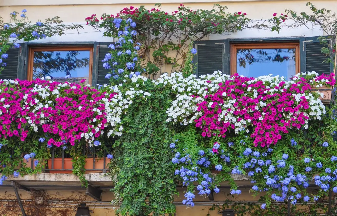 Come si fa a creare un giardino verticale sul balcone? Le soluzioni per sfruttare lo spazio